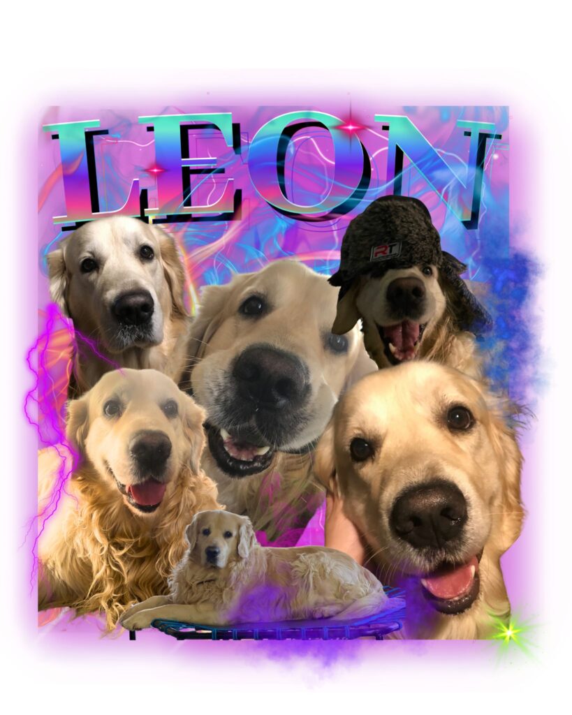 Najpiękniejsze gify urodzinowe